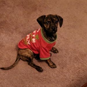 Meet your Posher, M&M